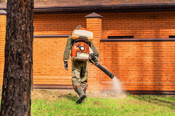 Trusted Rodent Control service in Saddlebrooke, AZ - Nex Pest Control